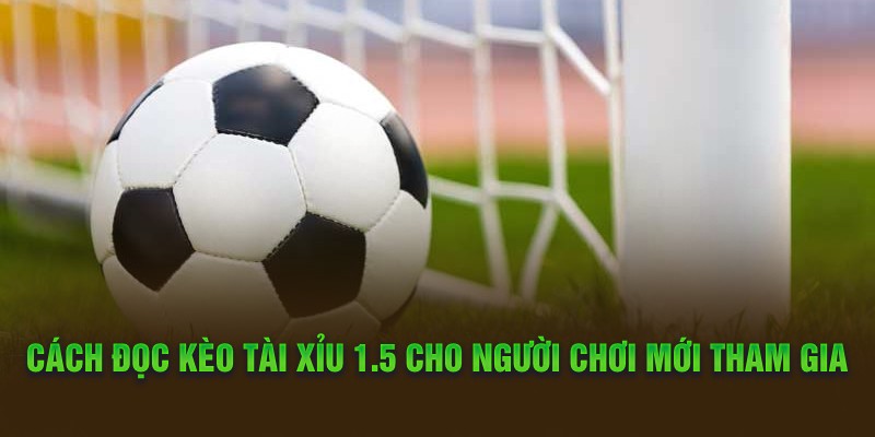 Cách đọc kèo Tài Xỉu 1.5 cho người chơi mới tham gia